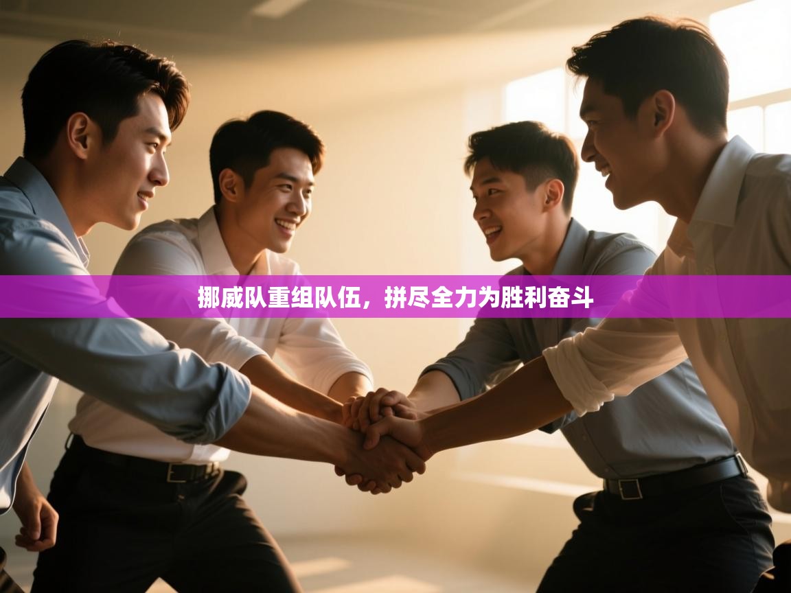 挪威队重组队伍,拼尽全力为胜利奋斗 第1张